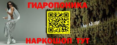 прущие грибы Аргун