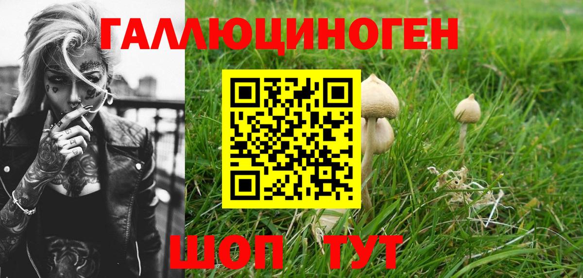 Псилоцибиновые грибы Cubensis Рассказово