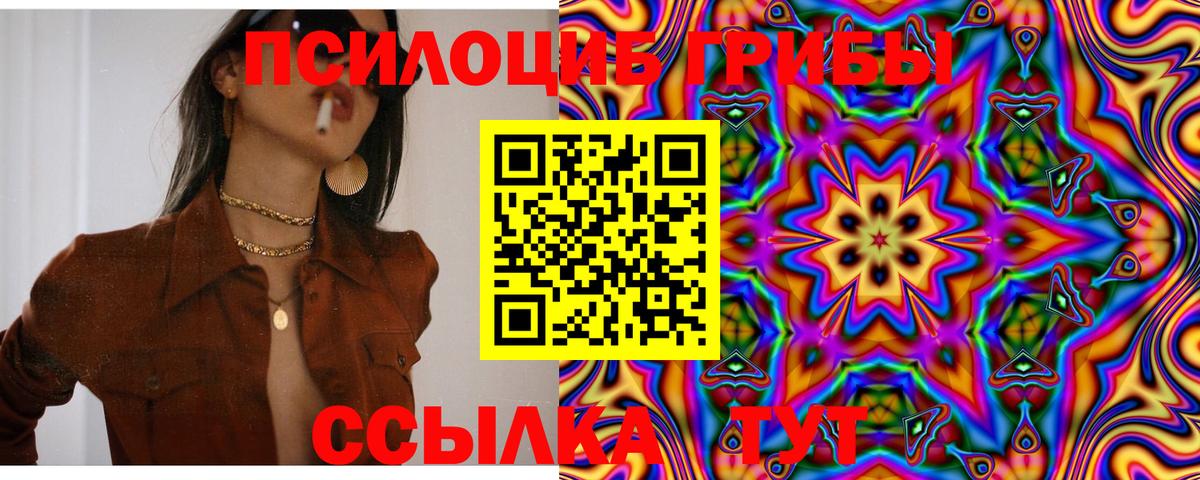 Галлюциногенные грибы ЛСД  Вход с VPN  Рассказово 
