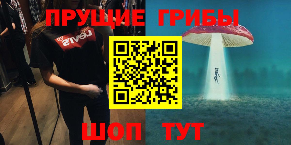 Галлюциногенные грибы Psilocybine cubensis  Рассказово 