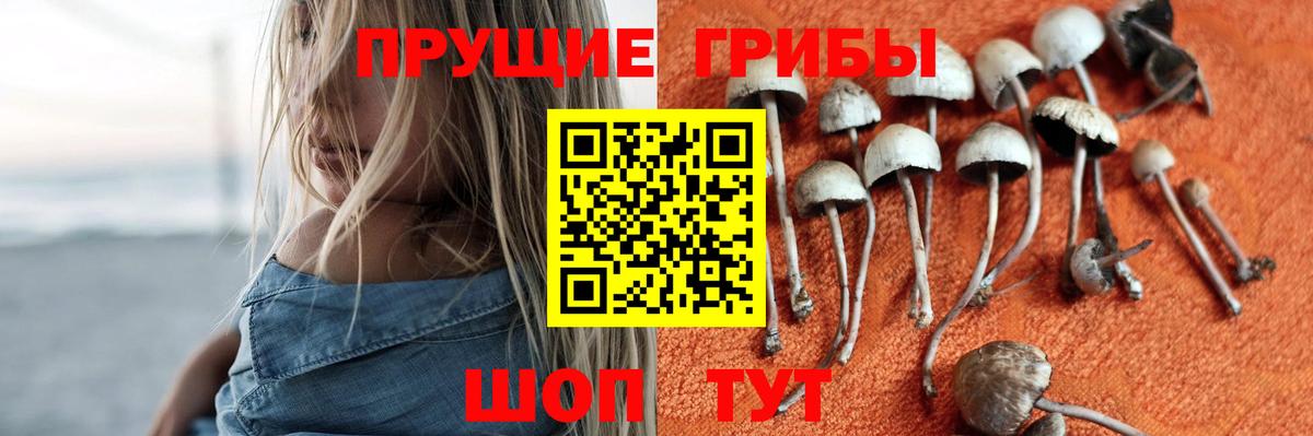 Псилоцибиновые грибы прущие грибы Рассказово